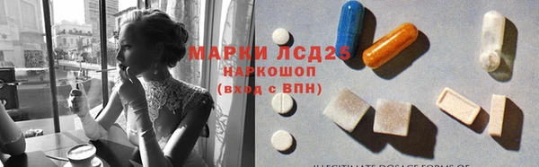 мдпв Каменногорск