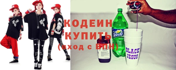 мдпв Каменногорск