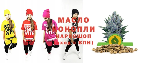 мдпв Каменногорск