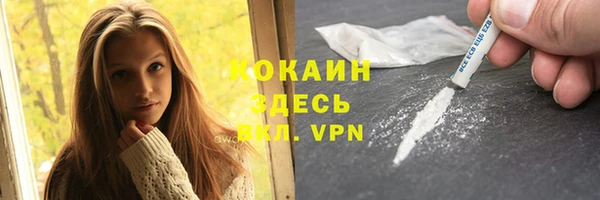 мдпв Каменногорск