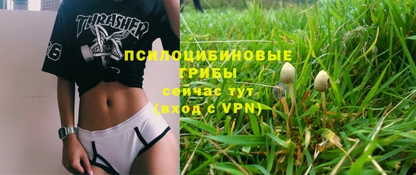COCAINE Каменка