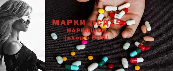 мдпв Каменногорск