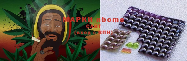 мдпв Каменногорск
